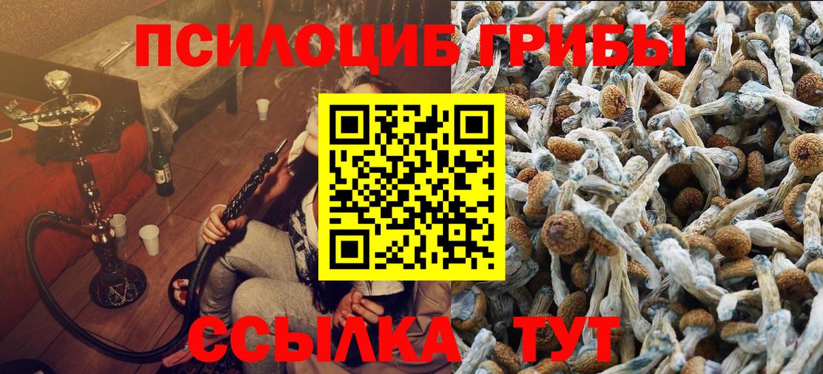 Псилоцибиновые грибы Cubensis Сызрань