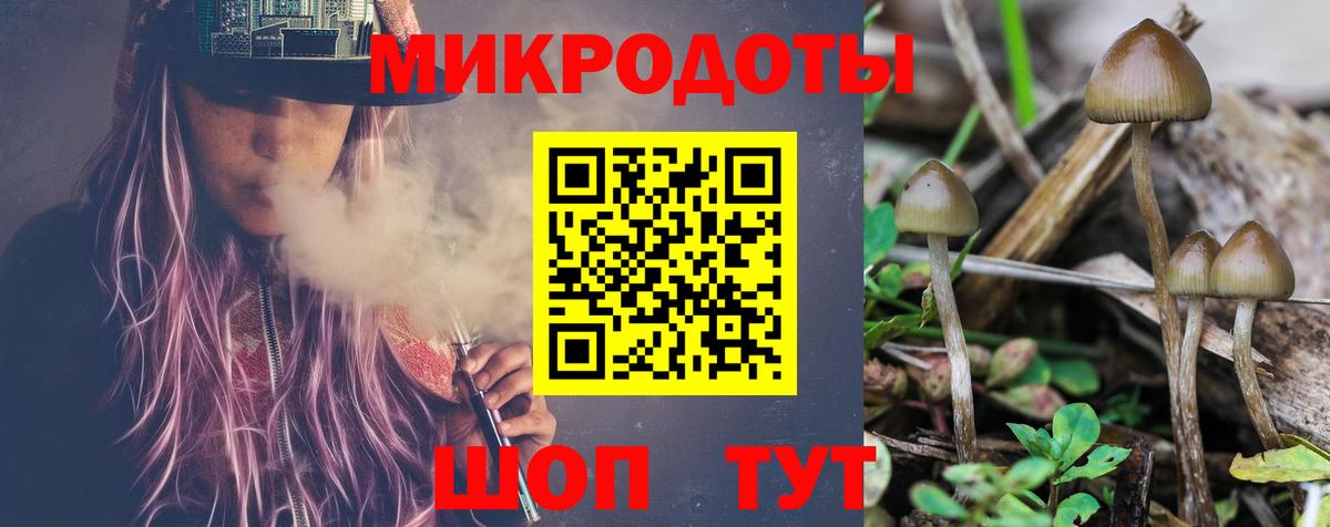 Сызрань  Псилоцибиновые грибы Cubensis  Галлюциногенные грибы MAGIC MUSHROOMS  Вход с VPN 